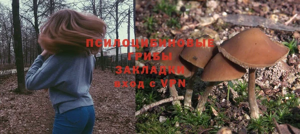 прущая мука Арсеньев