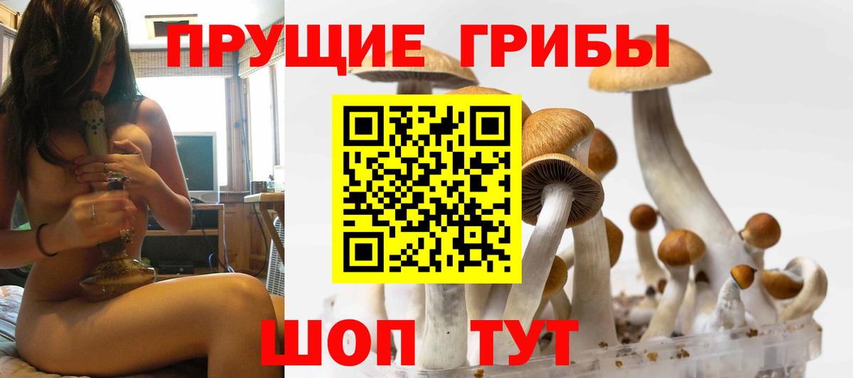 Галлюциногенные грибы GOLDEN TEACHER  Вход с VPN  Нижнеудинск 